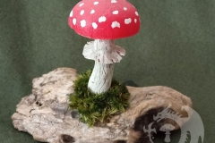 Pilzlicht-Amanita-01