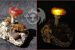 Pilzlicht-Russula-04