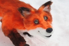 Fuchs-Fipsi-01