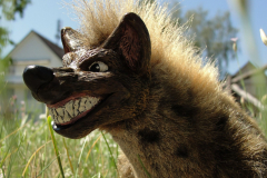 Hyena-01