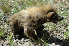 Hyena-02