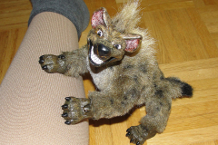 Hyena-07