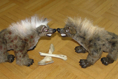 Hyena-09