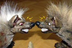 Hyena-11