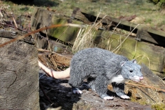Puppe-Ratte-Johnny-05