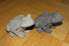 Beton-Frosch-klein