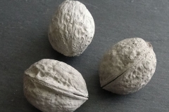 Beton-Walnuss-01