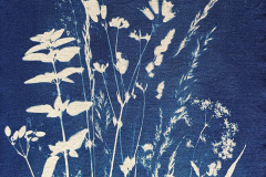 Cyano-Stoff-Blumenwiese-01