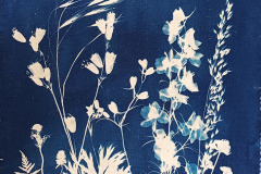 Cyano-Stoff-Blumenwiese-02