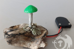 Mini-Pilzlicht-Giftling