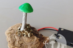 Mini-Pilzlicht-Gruenling