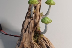 Mini-Pilzlicht-Hexenpilze-05