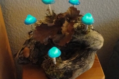Pilz-Licht-Eichenwald