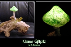 Pilz-Licht-Giftpilz