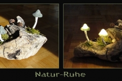 Pilz-Licht-Naturruhe-final