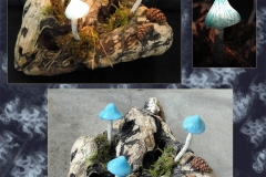 Pilz-Licht-Nebula-02