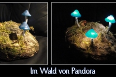 Pilz-Licht-Pandora