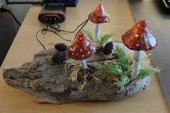Pilz-Licht-Pimp-Up-01