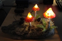 Pilz-Licht-Pimp-Up-02