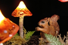 Pilz-Licht-Pimp-Up-04
