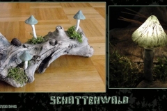 Pilz-Licht-Schattenwald