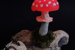 Pilzlicht-Amanita-02