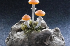 Pilzlicht-Amber-Sisters-01