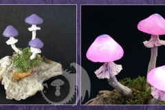 Pilzlicht-Baioretto-01