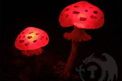Pilzlicht-Benitengu-02