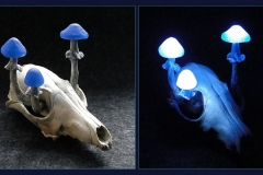 Pilzlicht-Blue-Eyes-05