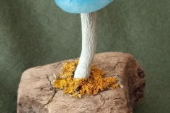 Pilzlicht-Bluey-01