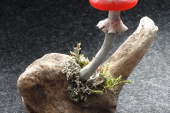 Pilzlicht-Blutstroepfchen-01