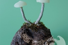 Pilzlicht-Boglings-01