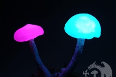 Pilzlicht-Boglings-03