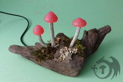 Pilzlicht-Candy-01