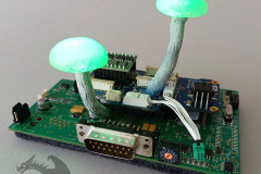 Pilzlicht-Cybercrime-05