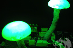 Pilzlicht-Cybercrime-06