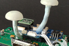 Pilzlicht-Cybercrime-07
