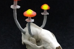Pilzlicht-Dachs-Earth-Spirits-02