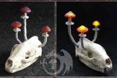 Pilzlicht-Dachs-Earth-Spirits-03
