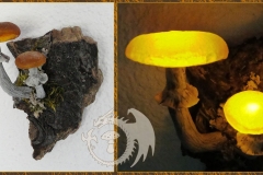 Pilzlicht-Deux-Amoureux-03