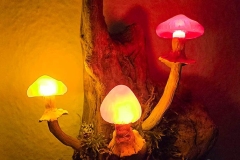 Pilzlicht-Flamme-02
