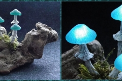 Pilzlicht-Gletscherpilze-04