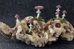 Pilzlicht-Grosse-Wurzel-01