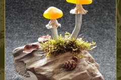 Pilzlicht-Haensel-und-Gretel-04
