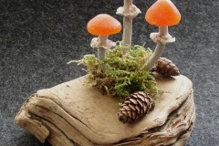 Pilzlicht-Herbstgruss-02