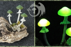 Pilzlicht-Joshi-04