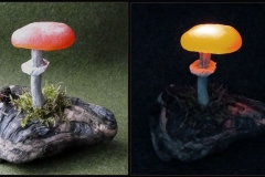 Pilzlicht-Kinoko-03