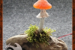 Pilzlicht-Kleiner-Kobold-02