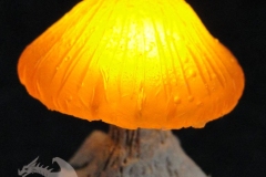 Pilzlicht-Kleiner-Kobold-03